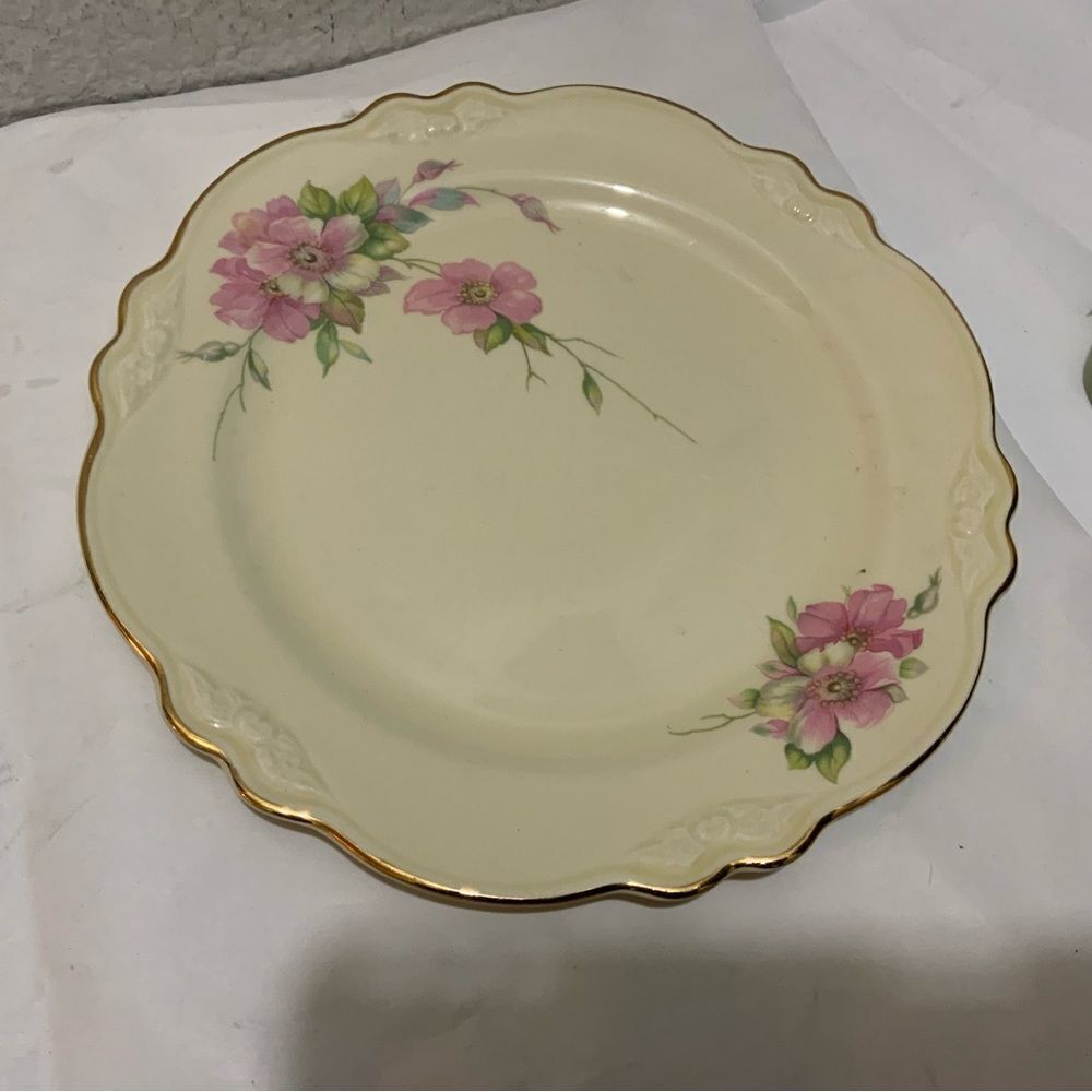 Homer Laughlin Armand 10” dinner Plate Virginia Rose G15